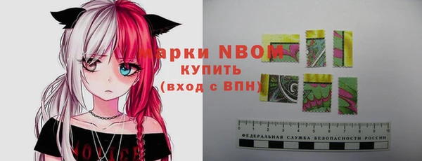 бошки Алексин