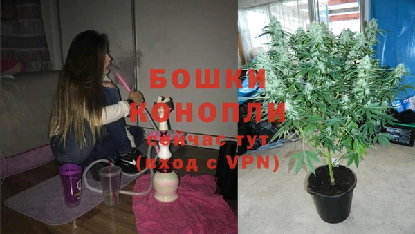 ПСИЛОЦИБИНОВЫЕ ГРИБЫ Бутурлиновка