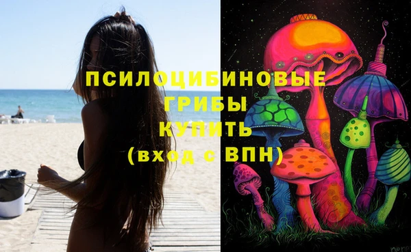мяу мяу мука Алзамай