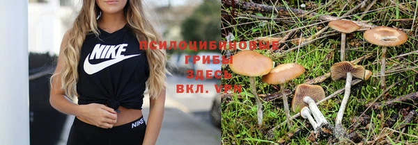 гашиш Алексеевка