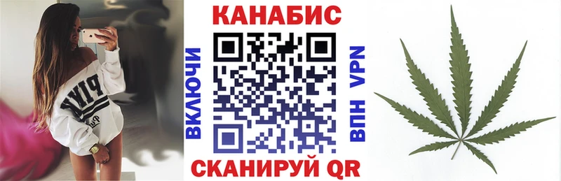 где найти   Канаш  Бошки марихуана Amnesia 